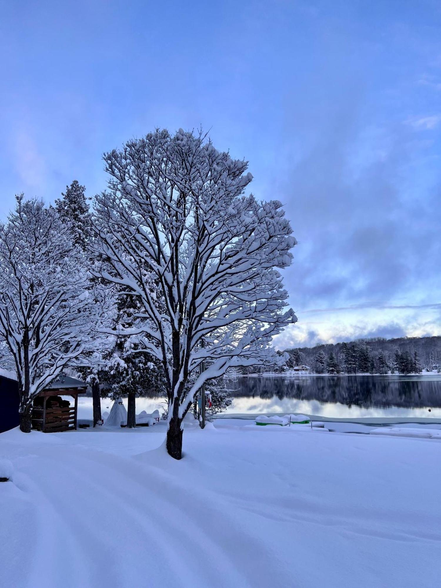 Bonnie View Inn Haliburton Eksteriør billede